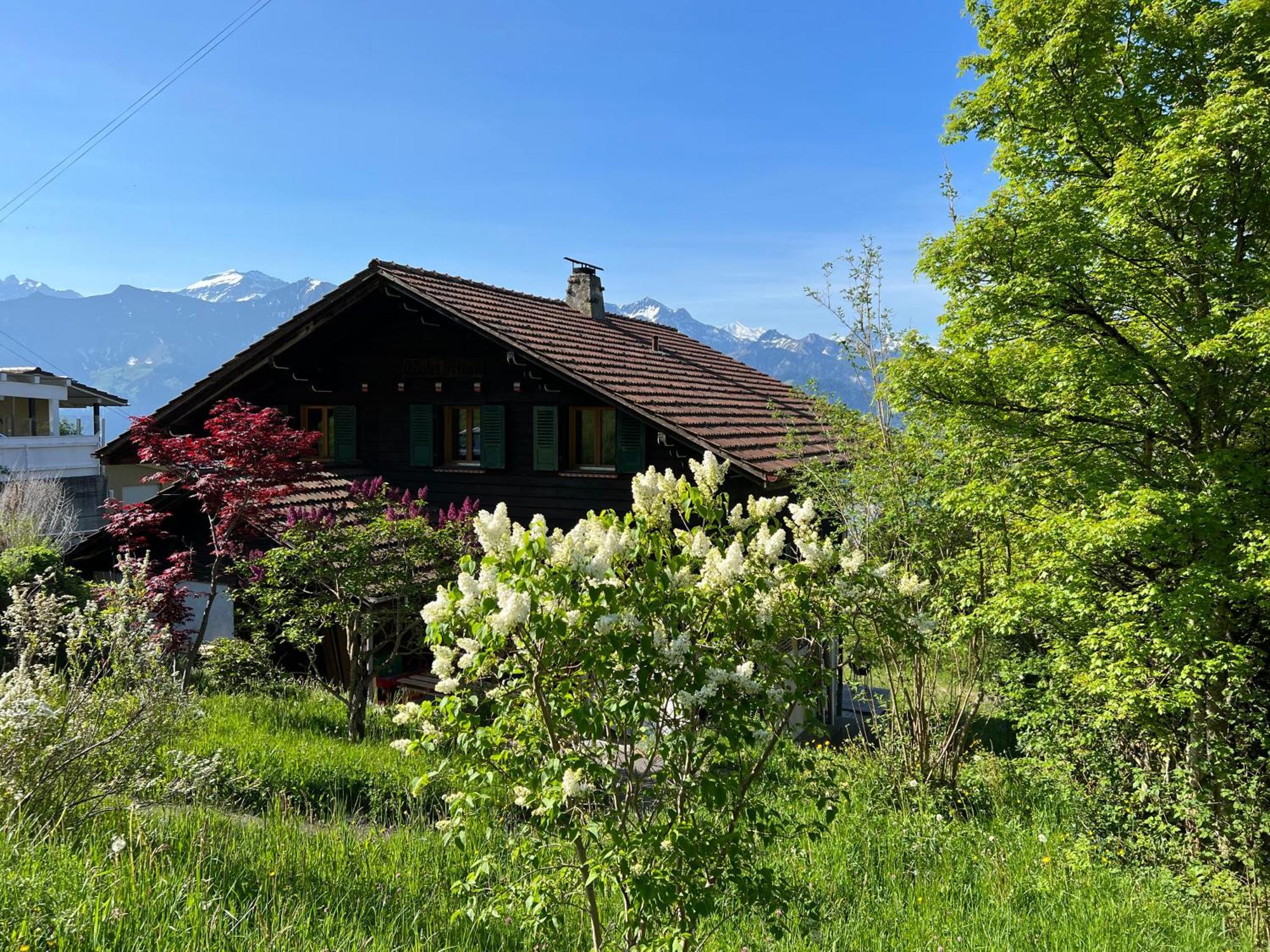 Chalet Friesli Beatenberg Luaran gambar